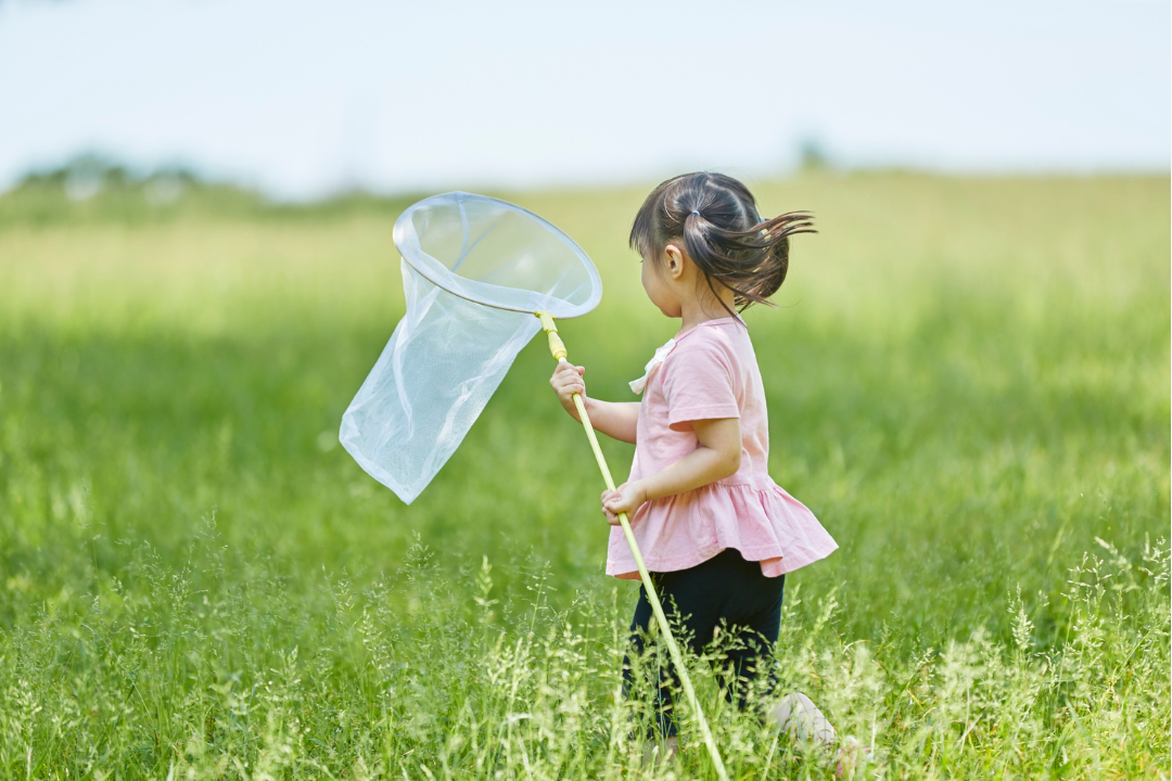 Chasing Butterfly